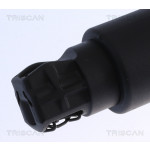 TRISCAN Gasfeder, Koffer-/Laderaum