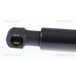 TRISCAN Gasfeder, Koffer-/Laderaum