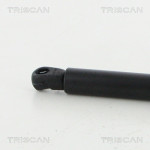 TRISCAN Gasfeder, Koffer-/Laderaum