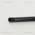 TRISCAN Gasfeder, Koffer-/Laderaum