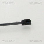 TRISCAN Gasfeder, Koffer-/Laderaum