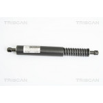TRISCAN Gasfeder, Koffer-/Laderaum