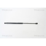 TRISCAN Gasfeder, Koffer-/Laderaum