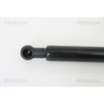 TRISCAN Gasfeder, Koffer-/Laderaum