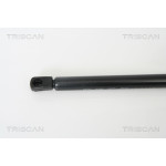 TRISCAN Gasfeder, Koffer-/Laderaum