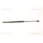 TRISCAN Gasfeder, Koffer-/Laderaum