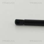 TRISCAN Gasfeder, Koffer-/Laderaum