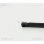 TRISCAN Gasfeder, Koffer-/Laderaum
