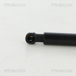 TRISCAN Gasfeder, Koffer-/Laderaum