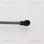 TRISCAN Gasfeder, Koffer-/Laderaum