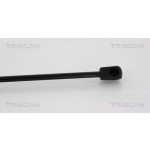 TRISCAN Gasfeder, Koffer-/Laderaum