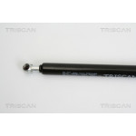 TRISCAN Gasfeder, Koffer-/Laderaum