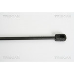 TRISCAN Gasfeder, Koffer-/Laderaum