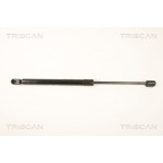 TRISCAN Gasfeder, Koffer-/Laderaum