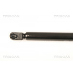 TRISCAN Gasfeder, Koffer-/Laderaum