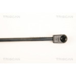 TRISCAN Gasfeder, Koffer-/Laderaum