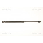 TRISCAN Gasfeder, Koffer-/Laderaum