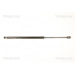 TRISCAN Gasfeder, Koffer-/Laderaum