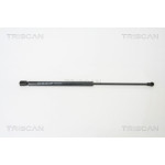 TRISCAN Gasfeder, Koffer-/Laderaum