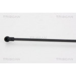 TRISCAN Gasfeder, Koffer-/Laderaum