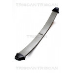 TRISCAN Federnpaket