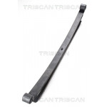 TRISCAN Federnpaket