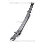 TRISCAN Federnpaket