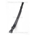 TRISCAN Federnpaket
