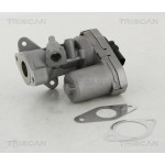 TRISCAN AGR-Ventil