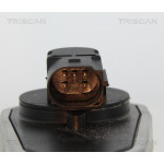 TRISCAN AGR-Ventil