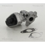 TRISCAN AGR-Ventil