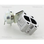 TRISCAN AGR-Ventil