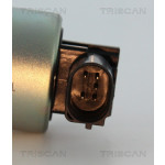 TRISCAN AGR-Ventil