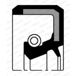 PAYEN Wellendichtring, Differential