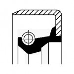CORTECO Dichtring, Bremsbacke