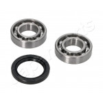 JAPANPARTS Radlagersatz