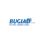 BUGIAD Ladeluftschlauch