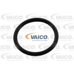 VAICO Dichtring, Ölablassschraube