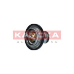 KAMOKA Thermostat, Kühlmittel