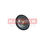 KAMOKA Thermostat, Kühlmittel