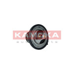 KAMOKA Thermostat, Kühlmittel