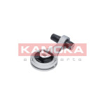 KAMOKA Lagerung, Motor