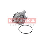 KAMOKA Wasserpumpe