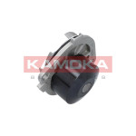 KAMOKA Wasserpumpe