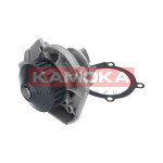 KAMOKA Wasserpumpe