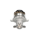 KAVO PARTS Wasserpumpe, Motorkühlung