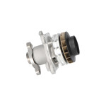 KAVO PARTS Wasserpumpe, Motorkühlung