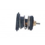NRF Thermostat, Kühlmittel