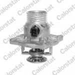 CALORSTAT by Vernet Thermostat, Kühlmittel