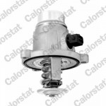 CALORSTAT by Vernet Thermostat, Kühlmittel